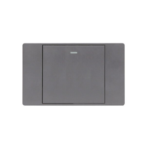 RA1 US model- Big Button Gray